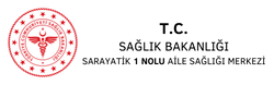Sarayatik 1 Nolu ASM